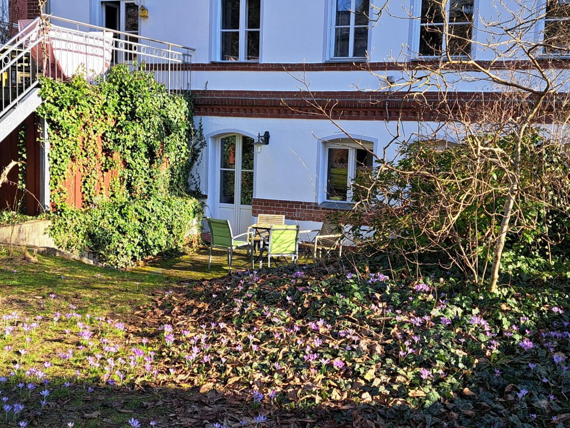 Gruenderzeitvilla In Zehlendorf Appartement *
