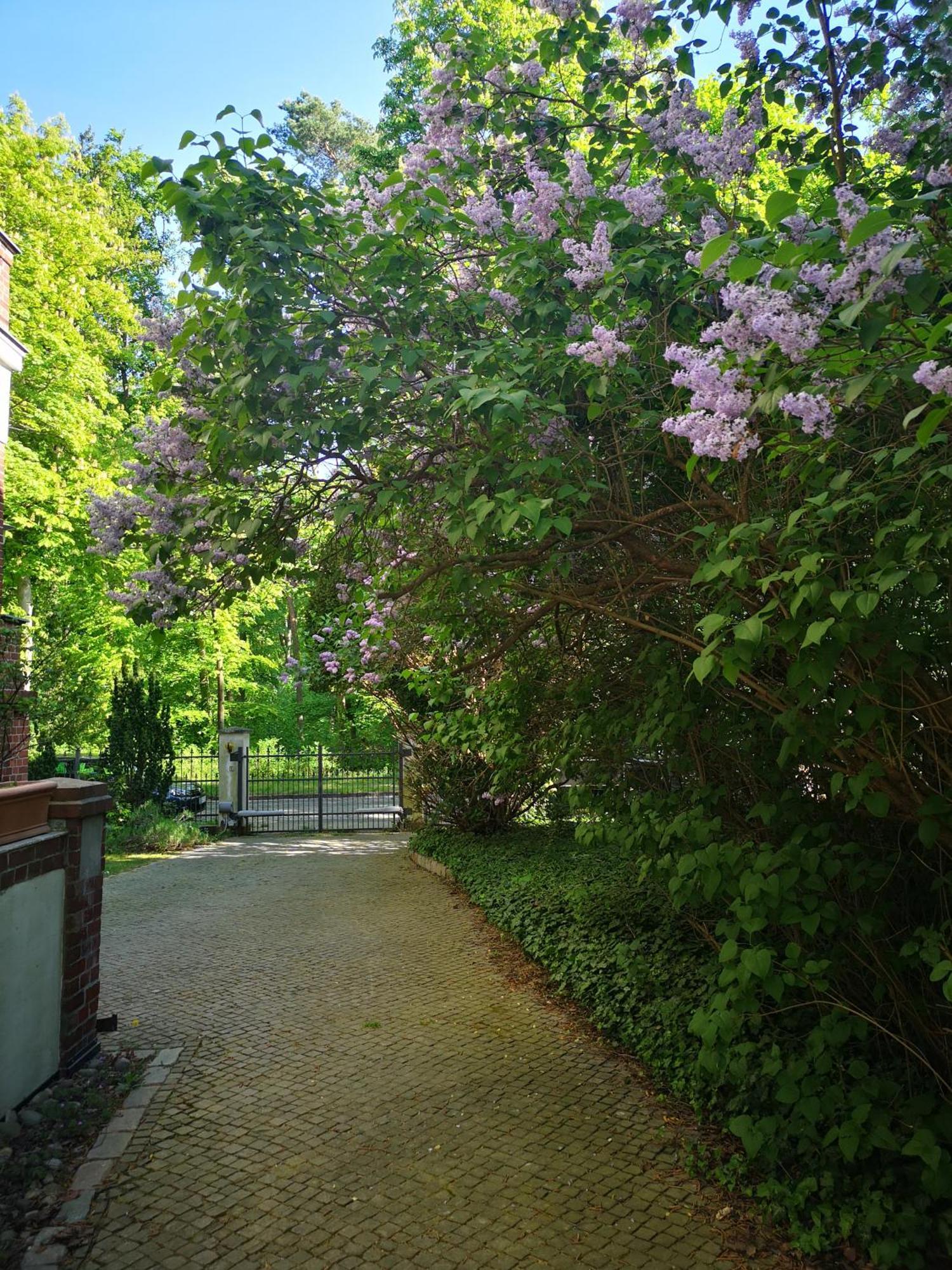 Gruenderzeitvilla In Zehlendorf Appartement